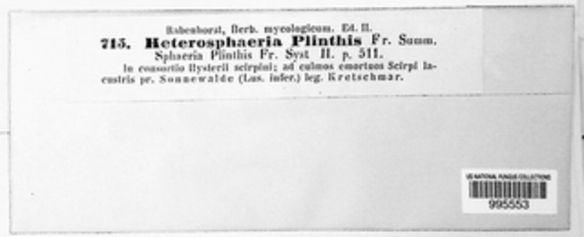 Heterosphaeria image